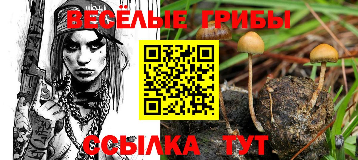 Йошкар-Ола  Псилоцибиновые грибы прущие грибы  Вход с VPN 